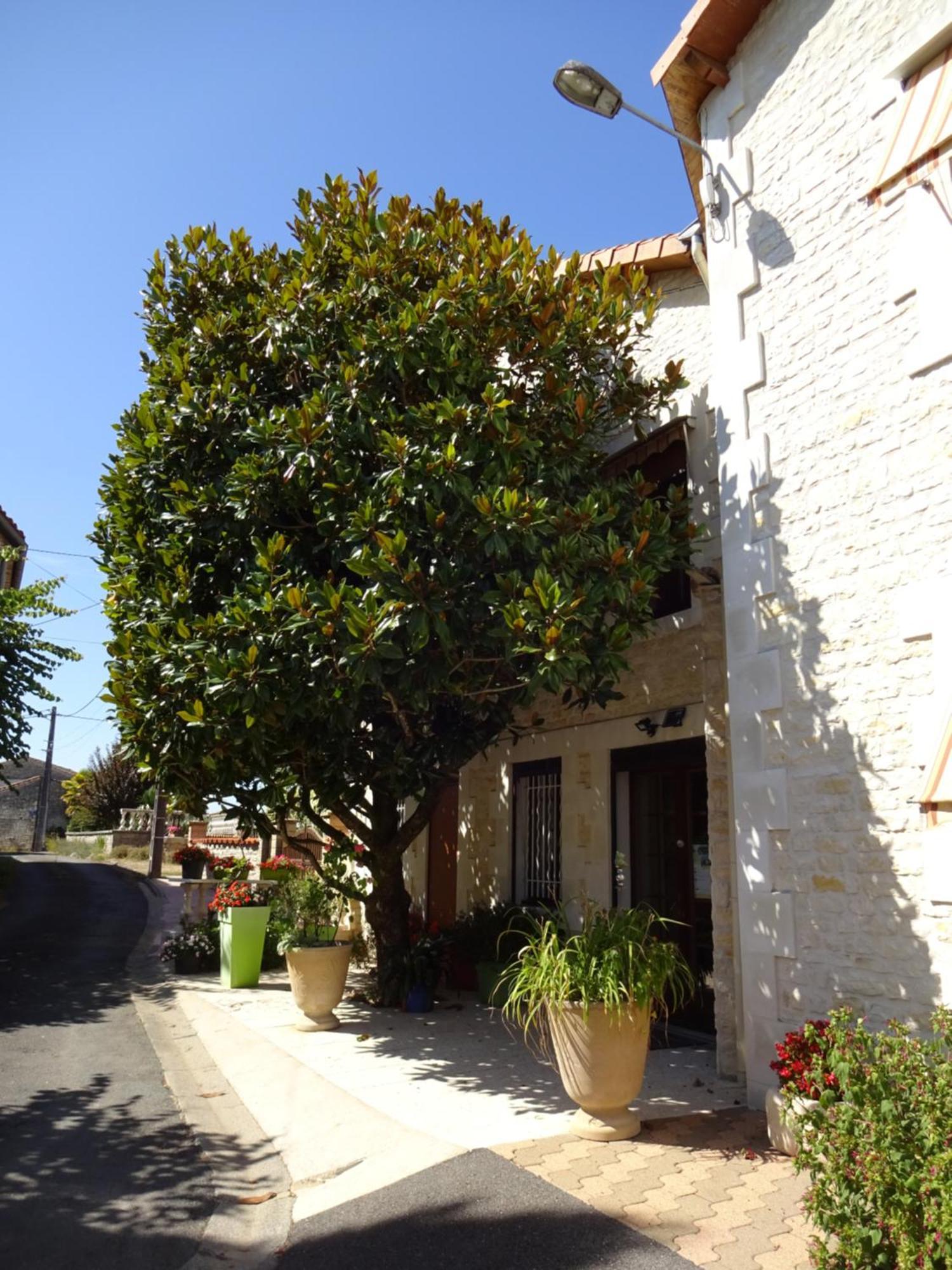 Aux Orangers Hotel Luxé Exterior foto